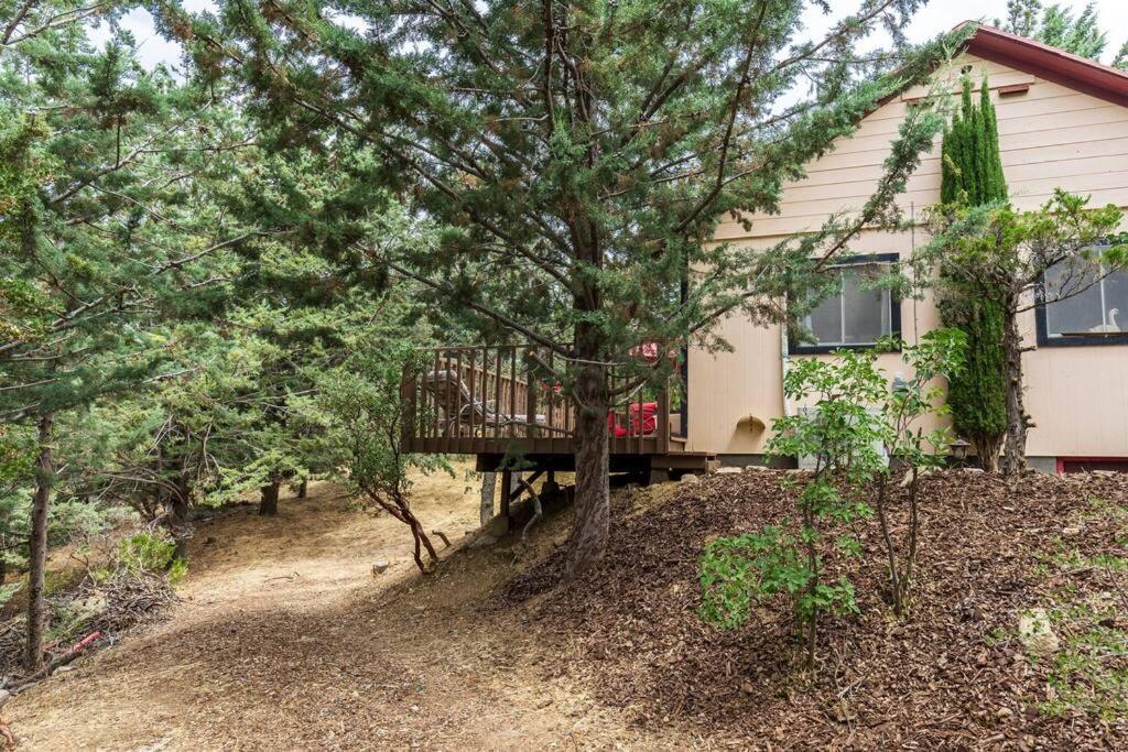 Historical Cabin In Julian Pet'S Okay! Εξωτερικό φωτογραφία