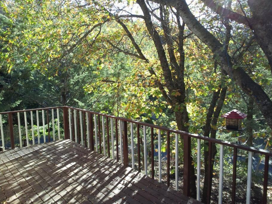 Historical Cabin In Julian Pet'S Okay! Εξωτερικό φωτογραφία