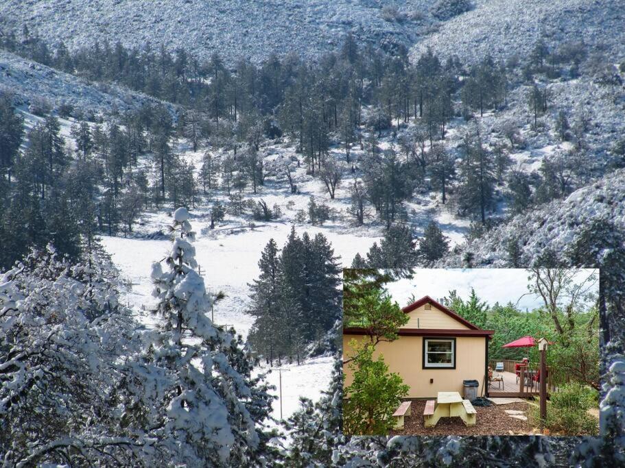 Historical Cabin In Julian Pet'S Okay! Εξωτερικό φωτογραφία